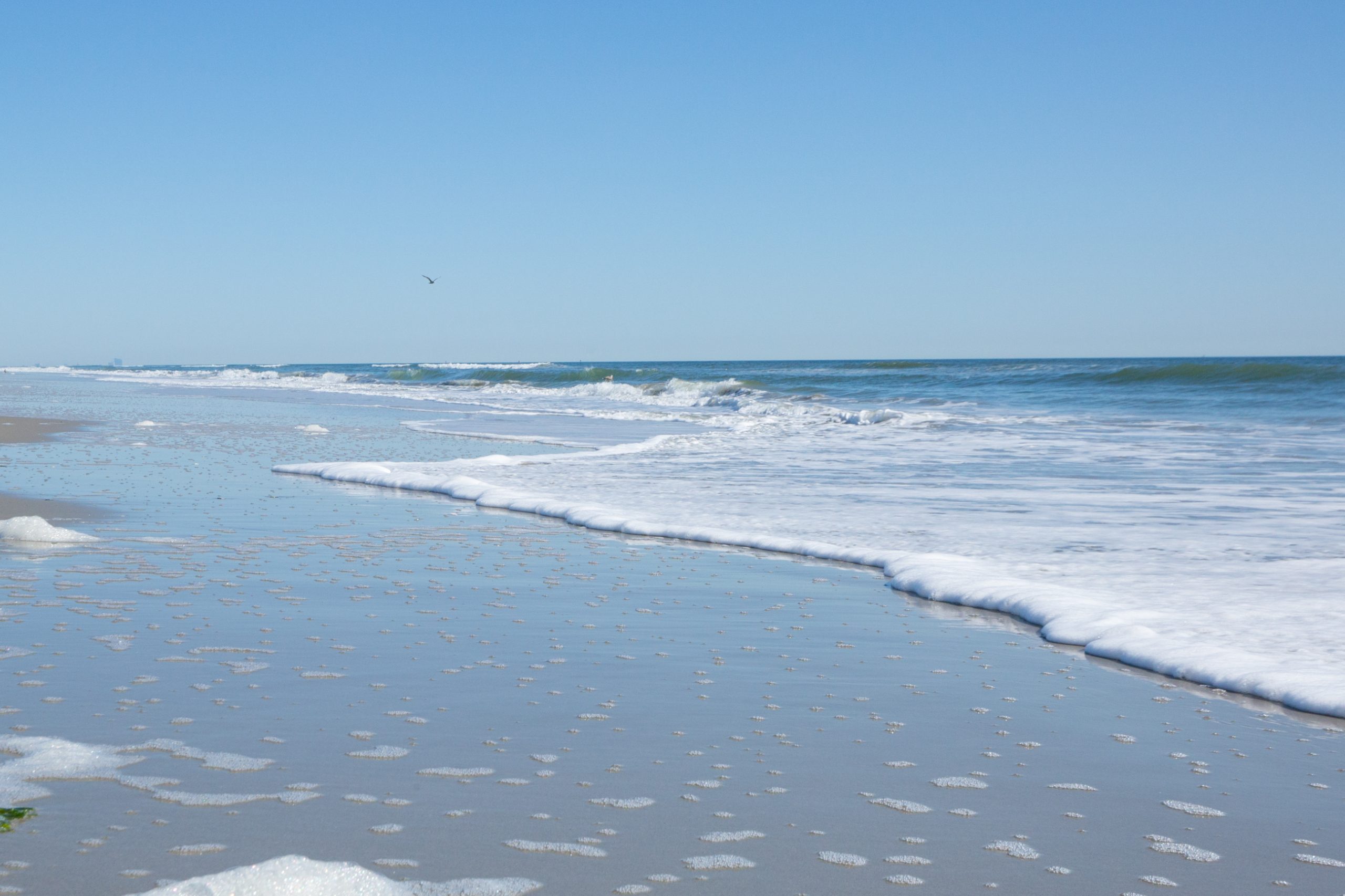Shore Shots (22 of 289)