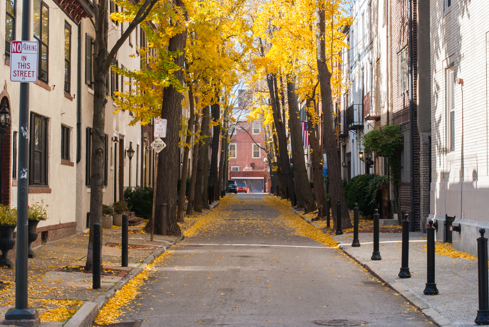 Autumn,Scene,In,Philadelphia,Neighborhood