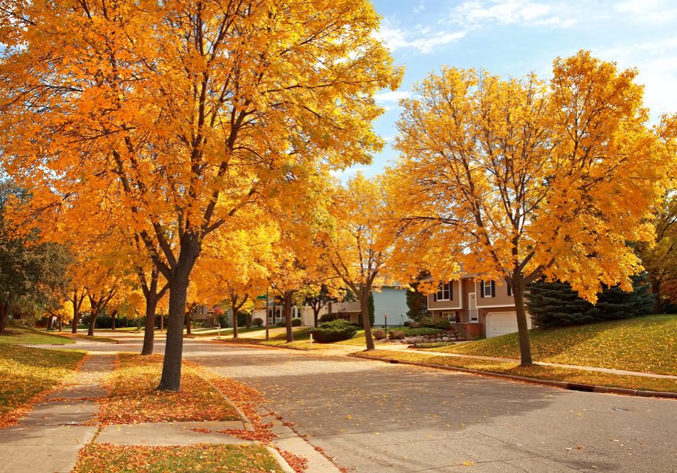 Suburban,Neighborhood,In,Autumn