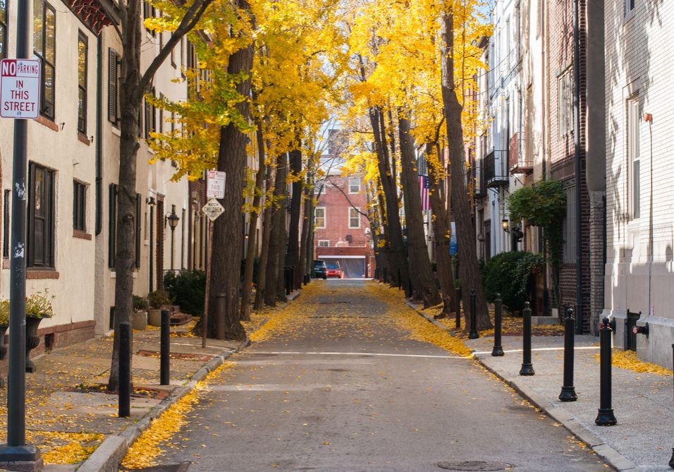 Autumn,Scene,In,Philadelphia,Neighborhood